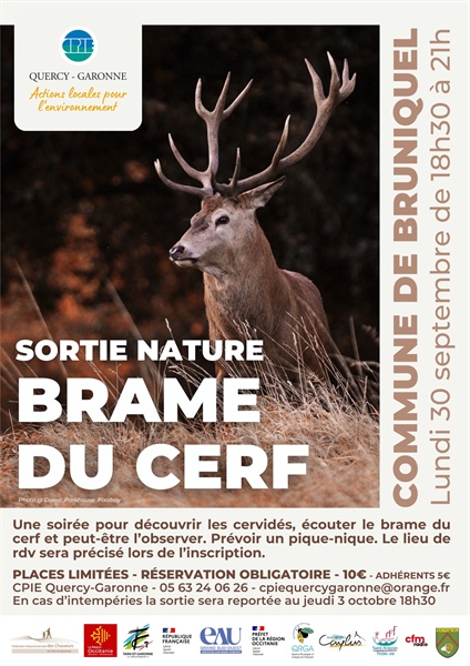 Sortie Nature : Brame du Cerf